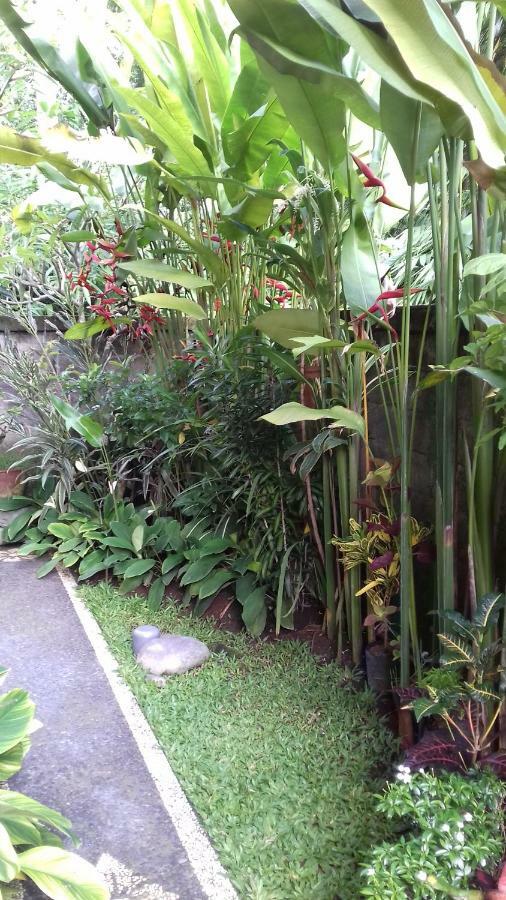Taman Puspa Ubud  Luaran gambar